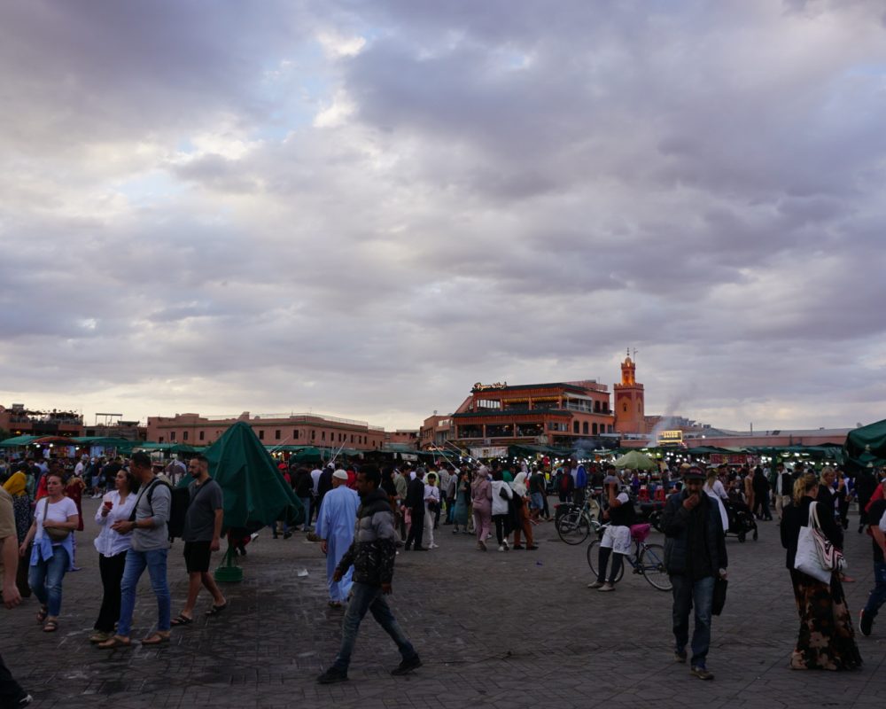DSC03560 DSC03560