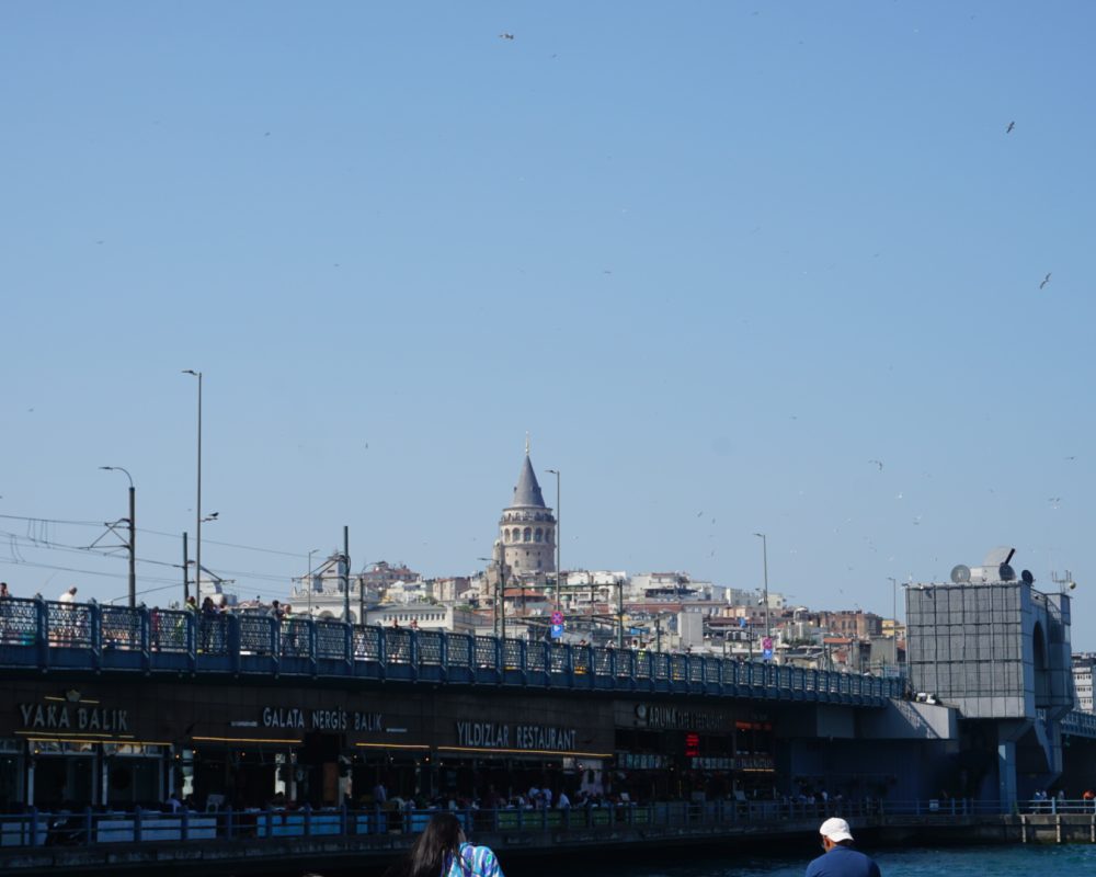 DSC05353