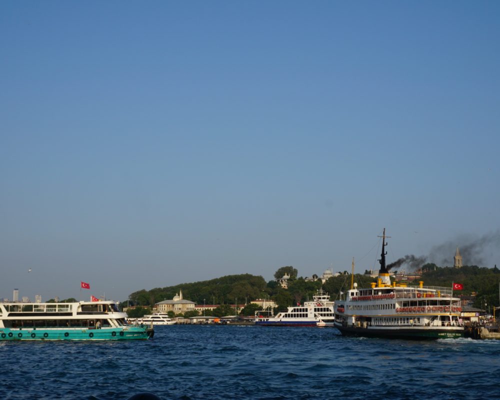 DSC05420