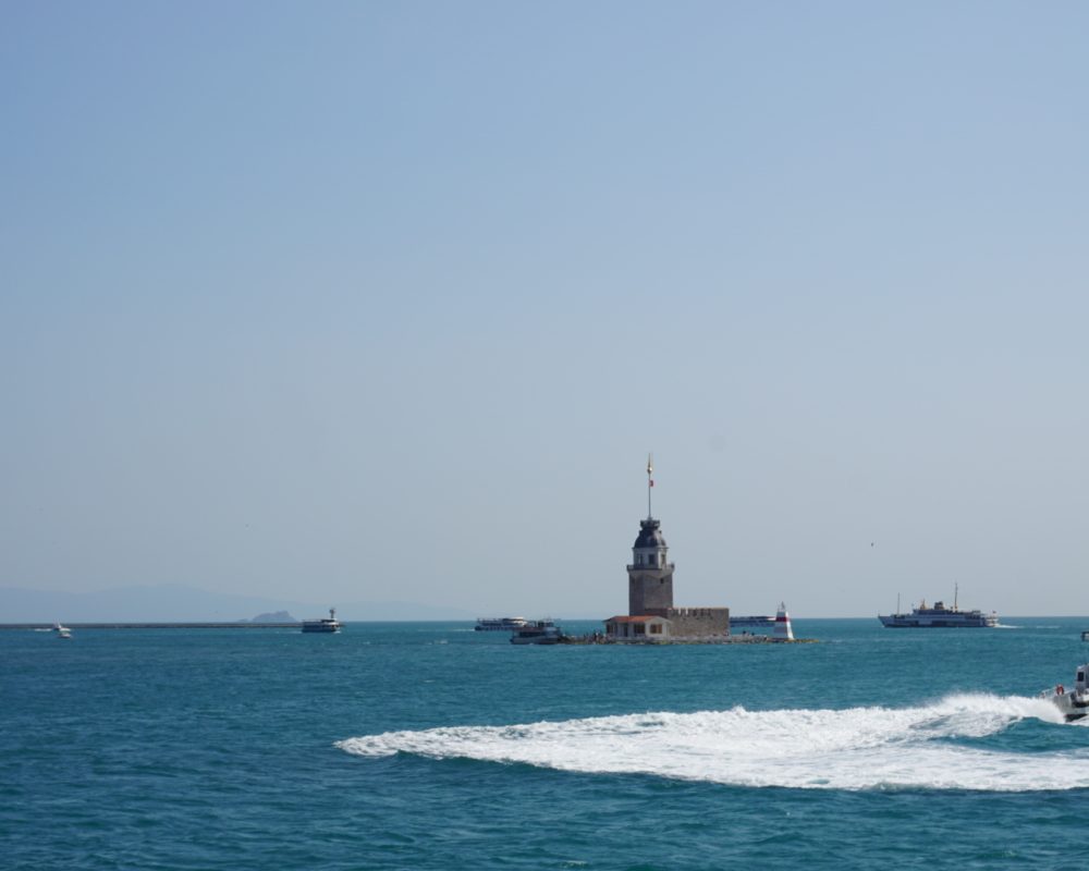 DSC05584
