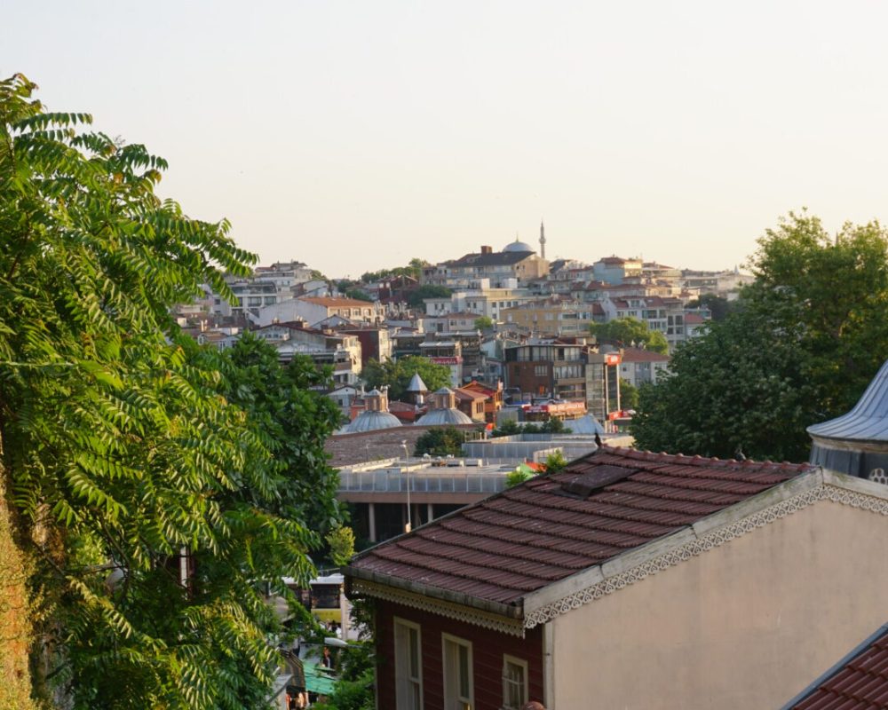 DSC05996