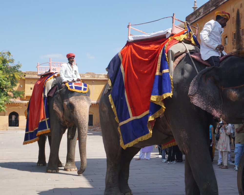 Elephants riding up to the fort