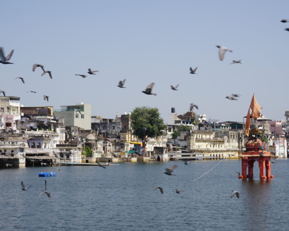 Pushkar lake