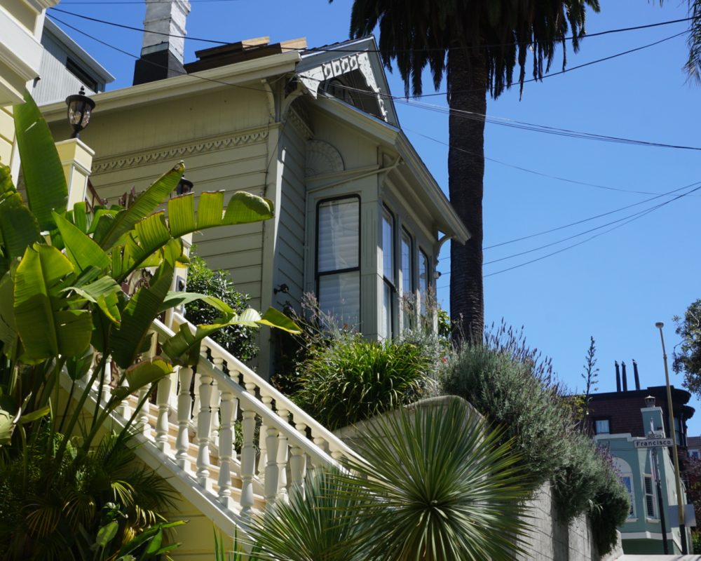 Pretty houses everywhere
