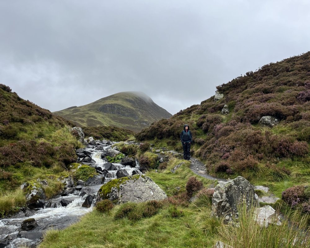Grey mare's tail